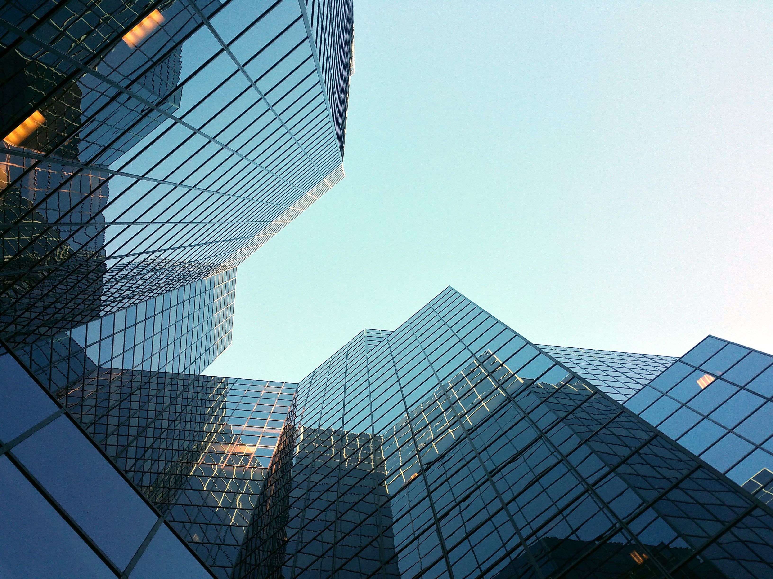 blog